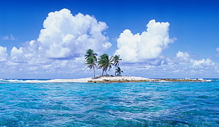 green coconut trees, tropical, atolls, sea, clouds HD wallpaper