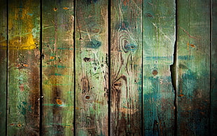 green wooden surface