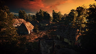 white wooden house, The Witcher 3: Wild Hunt, video games