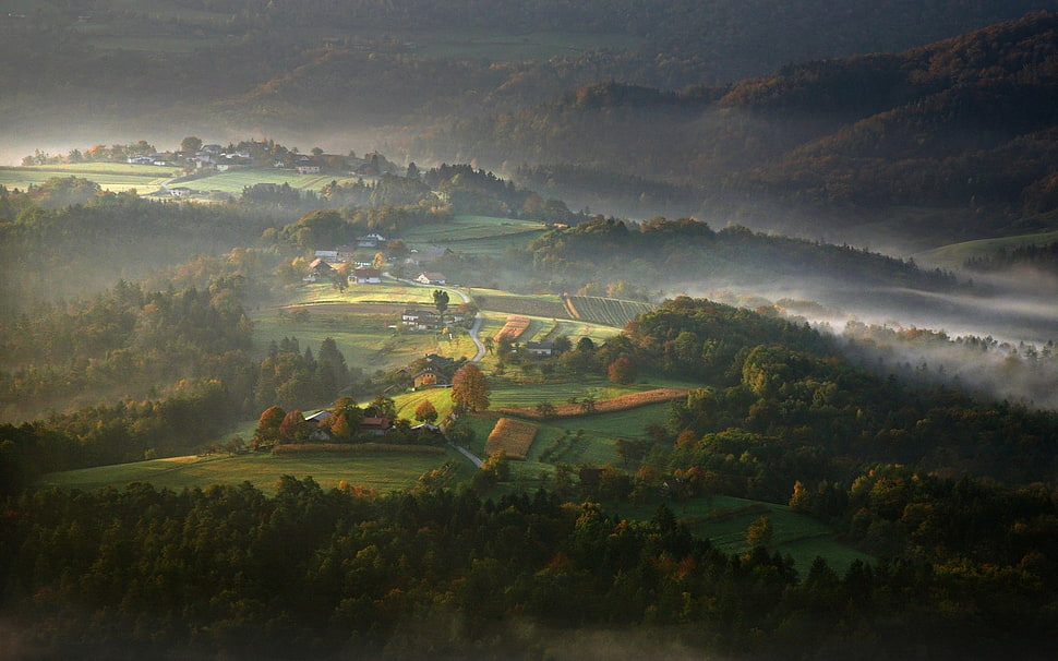 village surrounded by green leaf trees painting HD wallpaper