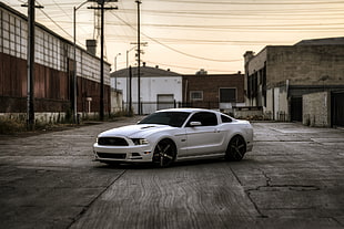 white Ford Mustang parked on grey pavement
