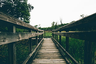brown wooden bridge, landscape, nature HD wallpaper