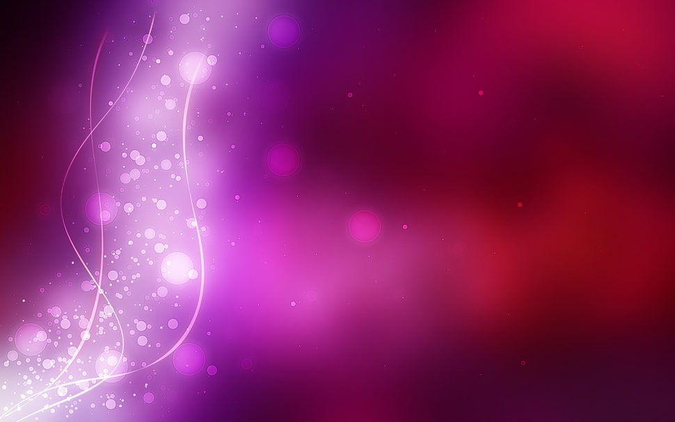 white purple and red wallpaper HD wallpaper
