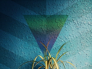 green linear leaf plant
