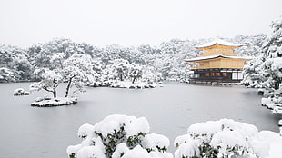body of water, Japan, temple, lake, snow