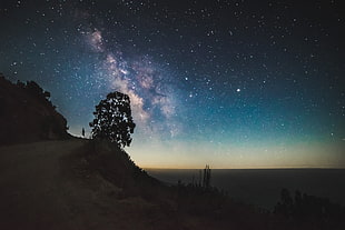 photo of stars in horizon HD wallpaper