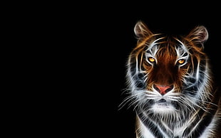 brown, white, and black tiger, tiger