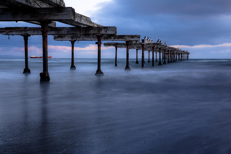 gray wooden bridge above body of water HD wallpaper