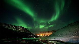 Aurora light, aurorae, sky, nature, Norway