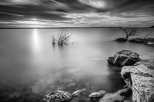 grayscale of concrete structure near body of water during cloudy day