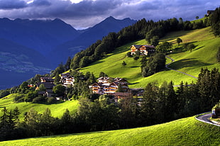 village on mountainside near trees during daytime HD wallpaper