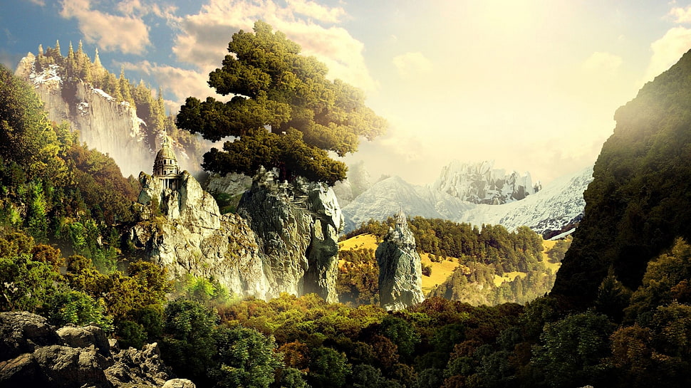 green tree beside brown mountain HD wallpaper