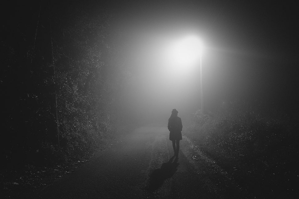 mist, monochrome HD wallpaper