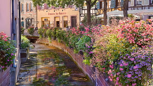 garden painting, flowers, river