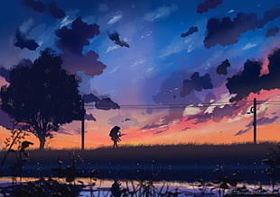silhouette of trees near body of water, sunset, trees, sky, clouds