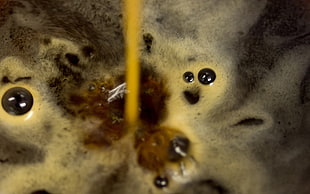 Coffee,  Drink,  Foam,  Bubbles