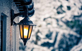 macro photography of black outdoor lantern