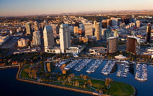 aerial shot of city skyline HD wallpaper