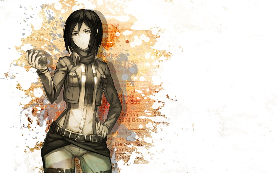 Attack on Titan Mikasa, Shingeki no Kyojin, Mikasa Ackerman HD wallpaper