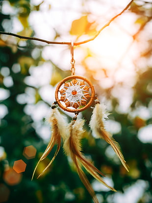brown and white feather dream catcher HD wallpaper