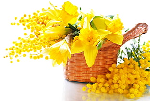 yellow petaled flowers on brown woven basket