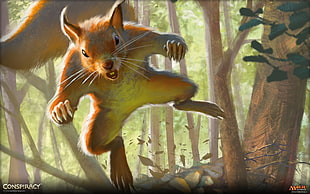 brown squirrel, Magic: The Gathering, magic, animals, squirrel HD wallpaper