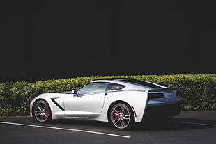 gray luxury car, Sports car, Side view, Gray
