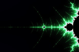 green and black digital wallpaper, 3D fractal, fractal, Mandelbrot set