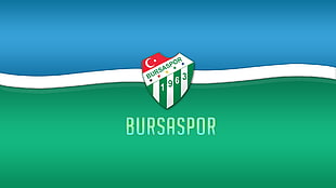 Bursaspor logo, Bursaspor, green, sports, soccer
