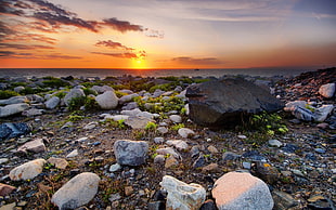 gray rocks, nature, sunset, sea, rock HD wallpaper