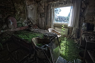 green sod, ruins, room, abandoned