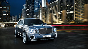 silver Mercedes-Benz sedan, Bentley XP9, blue cars, vehicle, Bentley