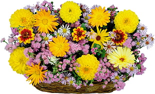 basket of yellow and pink petaled flowers