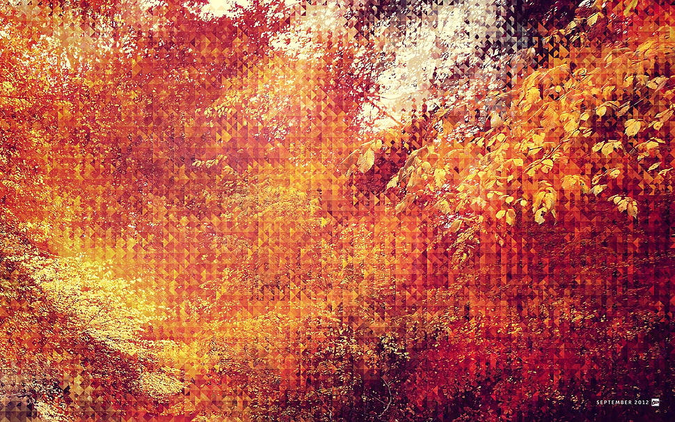 Surface,  Points,  Dirt,  Stains HD wallpaper