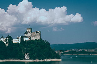 gray stone castle, Castle, Hill, Trees HD wallpaper
