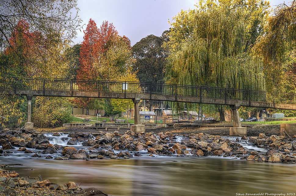 bridge near trees during daytime HD wallpaper