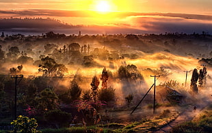 landscape view of trees under the ray of sun photo, nature, landscape, mist, villages