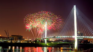 multi-colored fireworks display