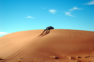 car on desert hill during daytime HD wallpaper