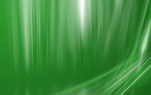 green and white textile