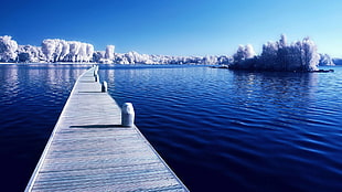 brown wooden dock, nature, water, winter