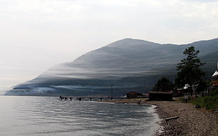landscape photo of seashore HD wallpaper