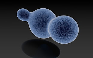 microscopic photo of blue and purple particles