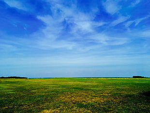 green lawn grass, Field, Sky, Grass