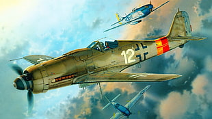 brown aircraft illustration, World War II, fw 190, Focke-Wulf, Luftwaffe