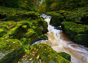 river between green grass coated rocks during daytime HD wallpaper