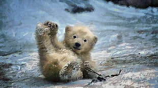 bear cub painting, nature, animals, digital art, painting