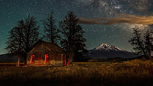 brown cabin surrounded by trees near mountain digital wallpaper, nature, landscape, starry night, cabin HD wallpaper