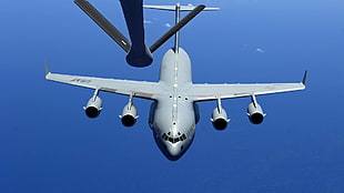 gray airplane, military aircraft, airplane, jets, sky