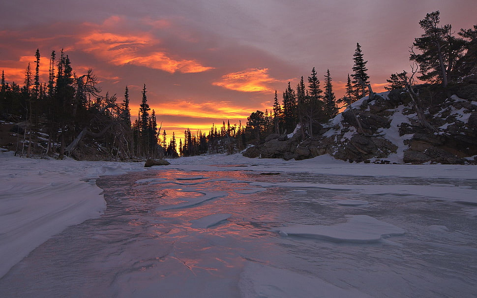 landscape photography of frozen river between trees during golden hour HD wallpaper